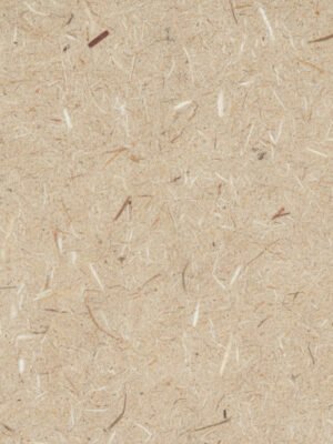 Macetas de cartón biodegradables