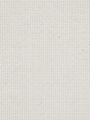 Macetas de cartón biodegradables