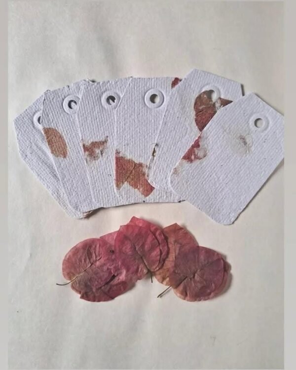 Papel reciclado artesanal plantable, con pétalos, hojas, estampas botánicas y más.